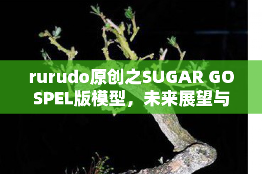 rurudo原创之SUGAR GOSPEL版模型，未来展望与期待