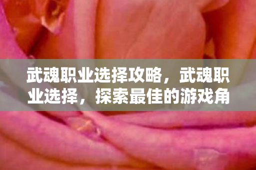 武魂职业选择攻略，武魂职业选择，探索最佳的游戏角色之旅