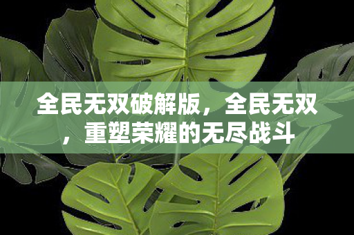 全民无双破解版，全民无双，重塑荣耀的无尽战斗