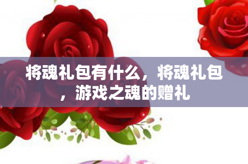 将魂礼包有什么，将魂礼包，游戏之魂的赠礼