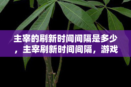 主宰的刷新时间间隔是多少，主宰刷新时间间隔，游戏策略与战术调整的关键节点