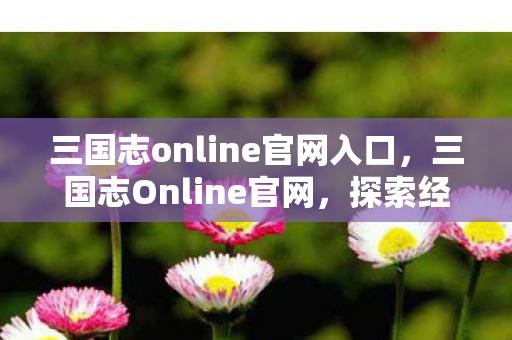 三国志online官网入口，三国志Online官网，探索经典战略游戏的在线世界