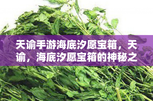 天谕手游海底汐愿宝箱，天谕，海底汐愿宝箱的神秘之旅