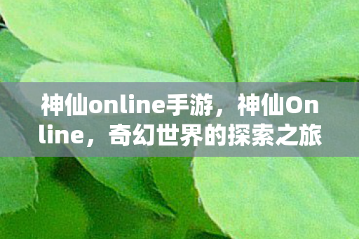 神仙online手游，神仙Online，奇幻世界的探索之旅