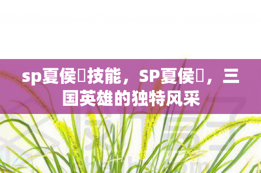 sp夏侯惇技能，SP夏侯惇，三国英雄的独特风采