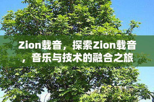 Zion载音，探索Zion载音，音乐与技术的融合之旅