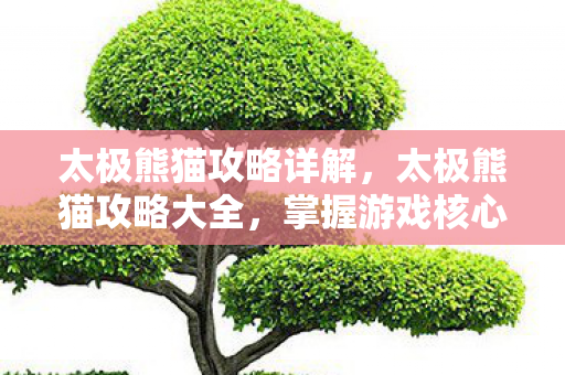 太极熊猫攻略详解，太极熊猫攻略大全，掌握游戏核心，轻松成为顶尖玩家