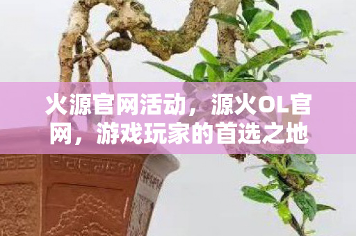 火源官网活动，源火OL官网，游戏玩家的首选之地