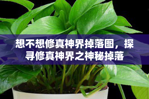 想不想修真神界掉落图，探寻修真神界之神秘掉落