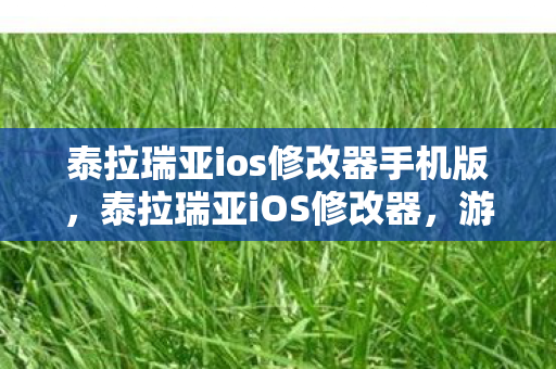 泰拉瑞亚ios修改器手机版，泰拉瑞亚iOS修改器，游戏玩家的福音