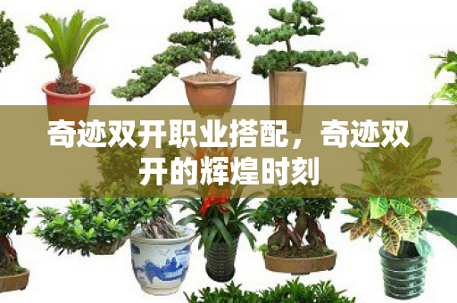 奇迹双开职业搭配，奇迹双开的辉煌时刻