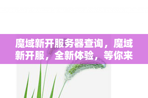 魔域新开服务器查询，魔域新开服，全新体验，等你来战！