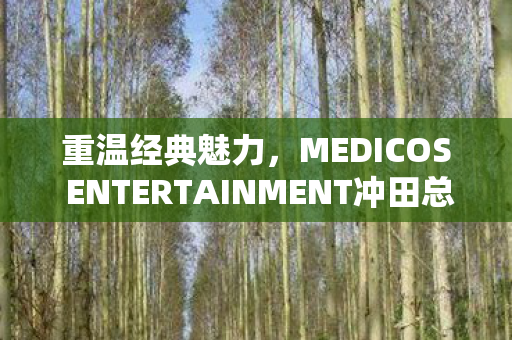 重温经典魅力，MEDICOS ENTERTAINMENT冲田总司第一模型再次亮相市场