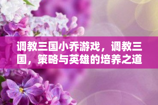 调教三国小乔游戏，调教三国，策略与英雄的培养之道