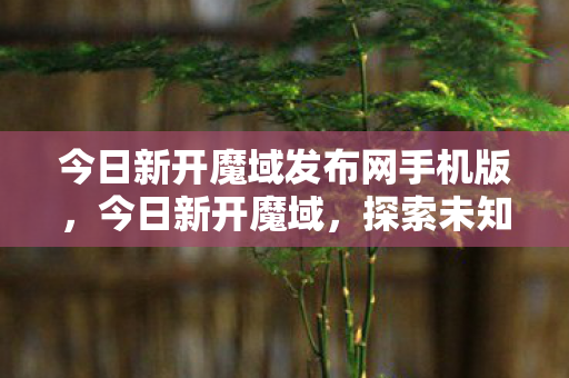 今日新开魔域发布网手机版，今日新开魔域，探索未知世界的冒险之旅