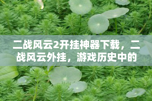 二战风云2开挂神器下载，二战风云外挂，游戏历史中的非法元素