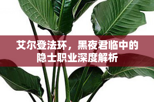 艾尔登法环，黑夜君临中的隐士职业深度解析