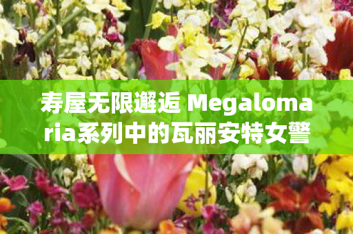 寿屋无限邂逅 Megalomaria系列中的瓦丽安特女警拼装模型，深度赏析与体验