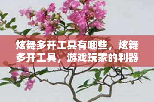 炫舞多开工具有哪些，炫舞多开工具，游戏玩家的利器