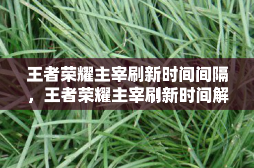 王者荣耀主宰刷新时间间隔，王者荣耀主宰刷新时间解析