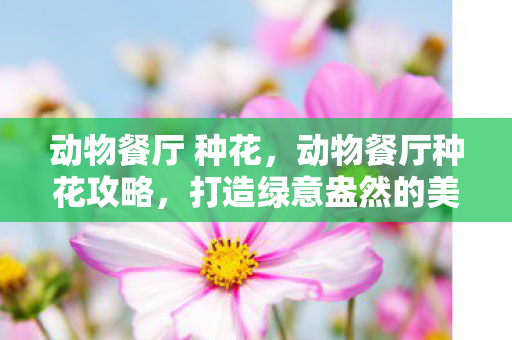 动物餐厅 种花，动物餐厅种花攻略，打造绿意盎然的美食天堂