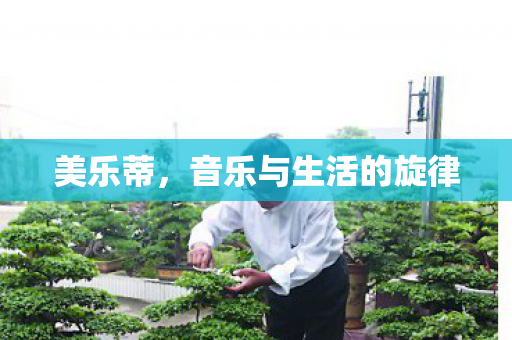 美乐蒂，音乐与生活的旋律