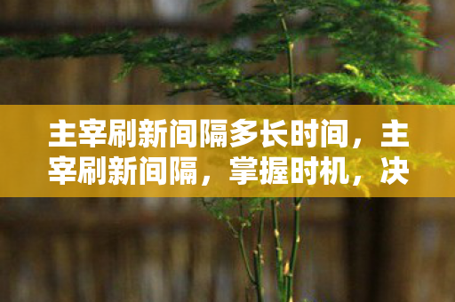 主宰刷新间隔多长时间，主宰刷新间隔，掌握时机，决胜千里