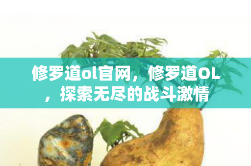 修罗道ol官网，修罗道OL，探索无尽的战斗激情