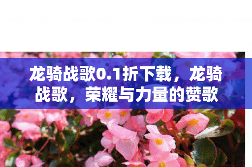 龙骑战歌0.1折下载，龙骑战歌，荣耀与力量的赞歌