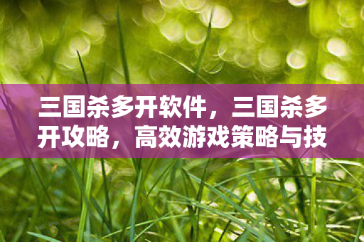 三国杀多开软件，三国杀多开攻略，高效游戏策略与技巧分享