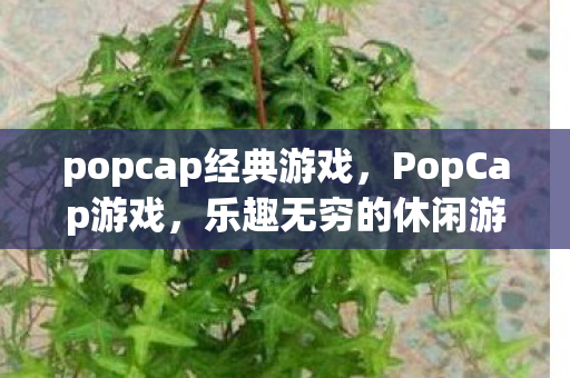 popcap经典游戏，PopCap游戏，乐趣无穷的休闲游戏世界