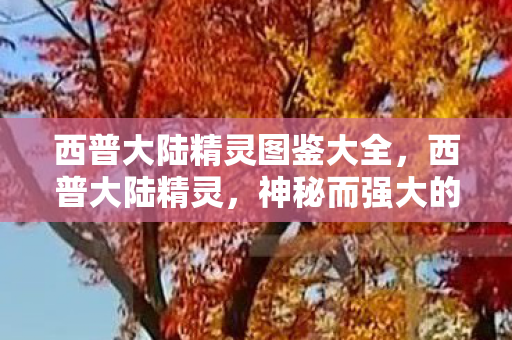 西普大陆精灵图鉴大全，西普大陆精灵，神秘而强大的存在