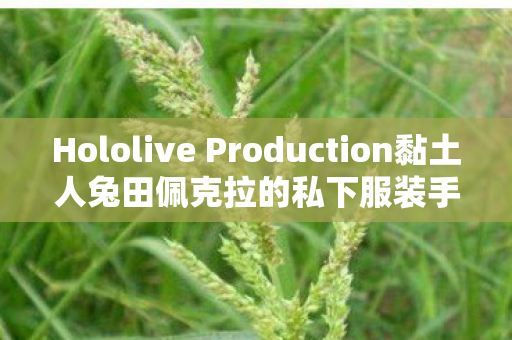 Hololive Production黏土人兔田佩克拉的私下服装手办，探索与赏析