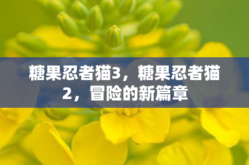 糖果忍者猫3，糖果忍者猫2，冒险的新篇章