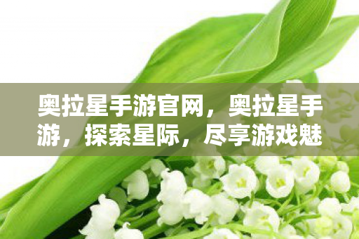 奥拉星手游官网，奥拉星手游，探索星际，尽享游戏魅力