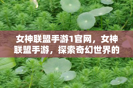 女神联盟手游1官网，女神联盟手游，探索奇幻世界的魅力之旅