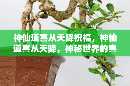 神仙道喜从天降祝福，神仙道喜从天降，神秘世界的喜悦降临