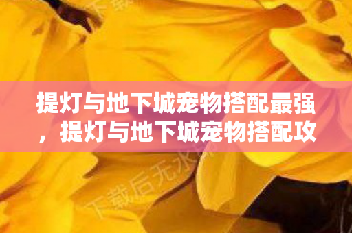 提灯与地下城宠物搭配最强，提灯与地下城宠物搭配攻略