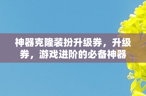 神器克隆装扮升级券，升级券，游戏进阶的必备神器