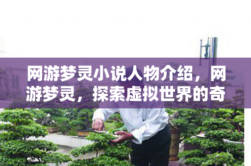 网游梦灵小说人物介绍，网游梦灵，探索虚拟世界的奇幻之旅