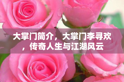 大掌门简介，大掌门李寻欢，传奇人生与江湖风云