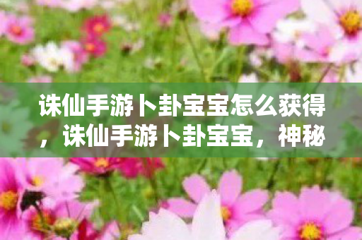 诛仙手游卜卦宝宝怎么获得，诛仙手游卜卦宝宝，神秘伙伴引领仙侠之旅