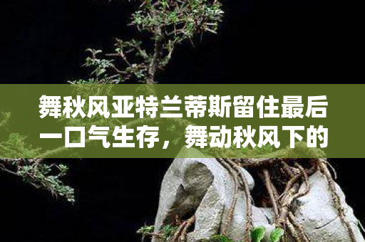 舞秋风亚特兰蒂斯留住最后一口气生存，舞动秋风下的亚特兰蒂斯传奇