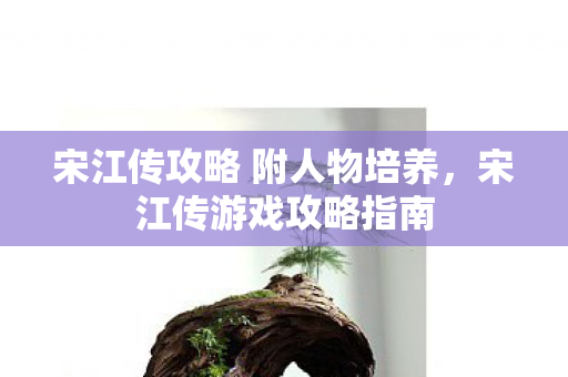 宋江传攻略 附人物培养，宋江传游戏攻略指南
