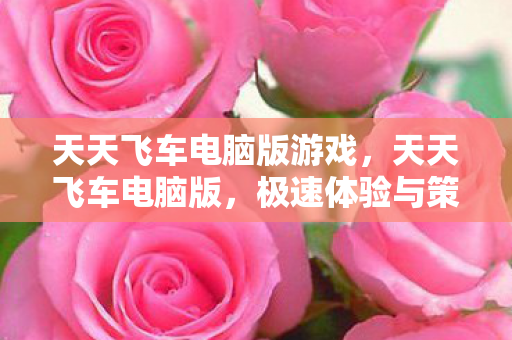 天天飞车电脑版游戏，天天飞车电脑版，极速体验与策略攻略