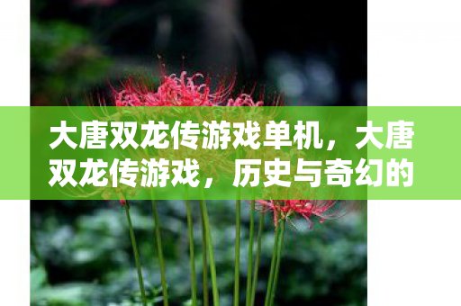 大唐双龙传游戏单机，大唐双龙传游戏，历史与奇幻的完美结合