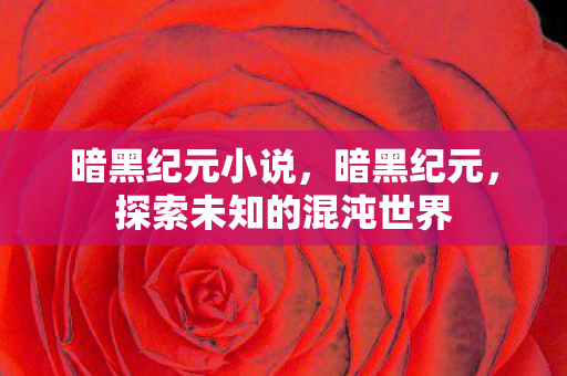 暗黑纪元小说，暗黑纪元，探索未知的混沌世界