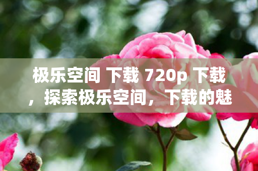 极乐空间 下载 720p 下载，探索极乐空间，下载的魅力与挑战