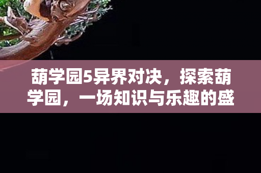 葫学园5异界对决，探索葫学园，一场知识与乐趣的盛宴