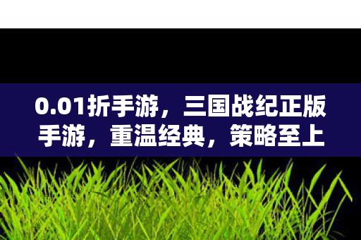 0.01折手游，三国战纪正版手游，重温经典，策略至上